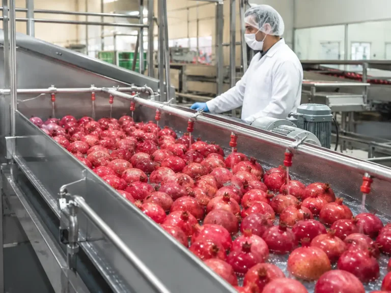 Alt: Fresh pomegranates being washed and processed for pomegranate concentrate production